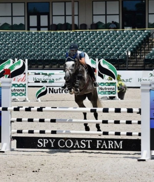 MG_Law_'s tweet photo. Proud of our intern Isabelle Blackstone for qualifying for and competing in the USHJA Zone 3&amp;4 Jumper Championships this weekend in Tryon, NC! https://t.co/iHu0jRSftI