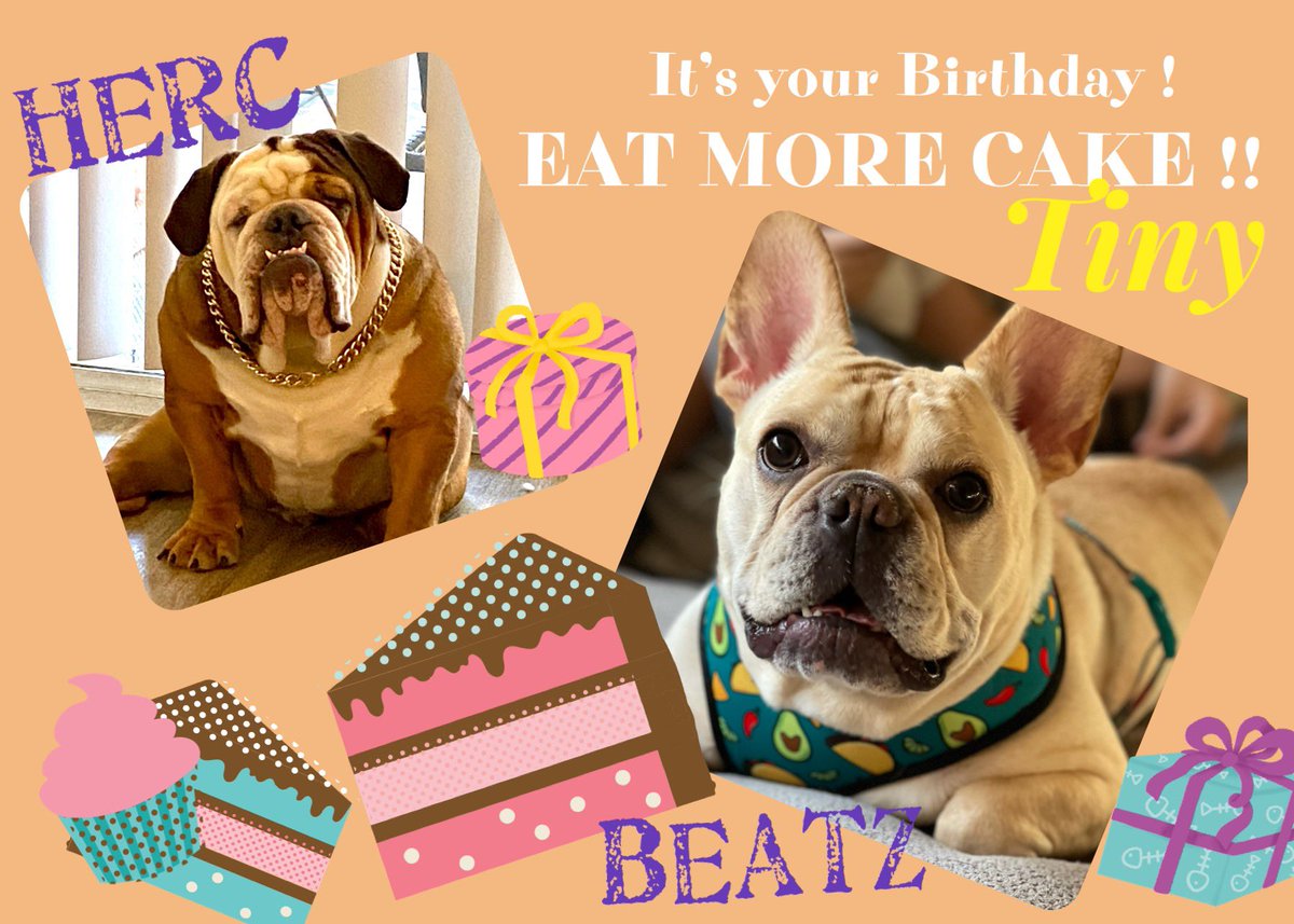 <a href="/Lil_Fen/">Baker</a> <a href="/TinyIsLove/">The Life of Tiny</a> Happy birthday Tiny, remember we are your new neighbors. We want you to know we are here for you. <a href="/TinyIsLove/">The Life of Tiny</a> <a href="/BeatzieB/">🐾🐷 BeatzieTheBulldog 🐷🐾</a> #birthday #happybirthday #mondaythoughts #dogsoftwitter