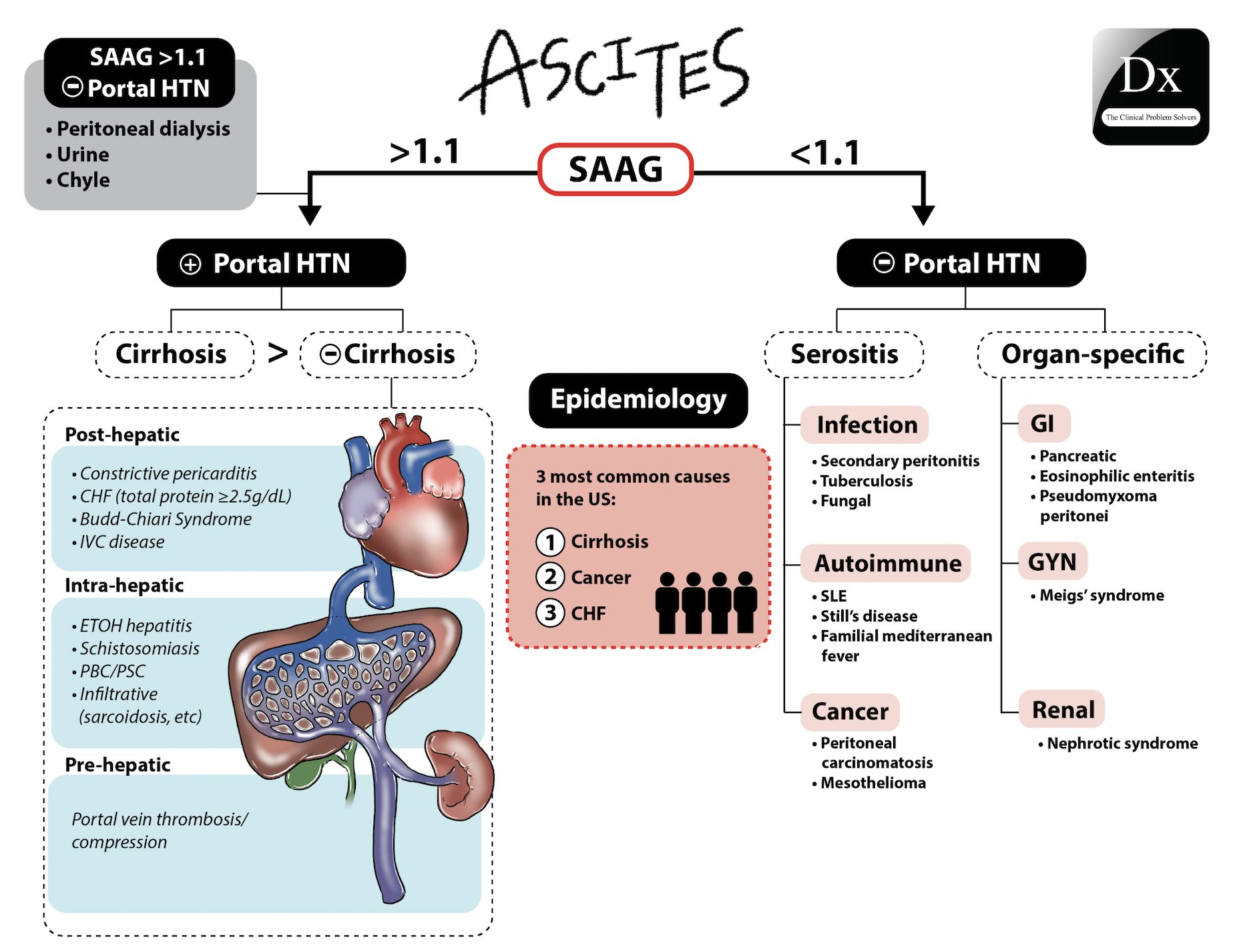 The Clinical Problem Solvers on Twitter "7/22 cpsvmrpearls https