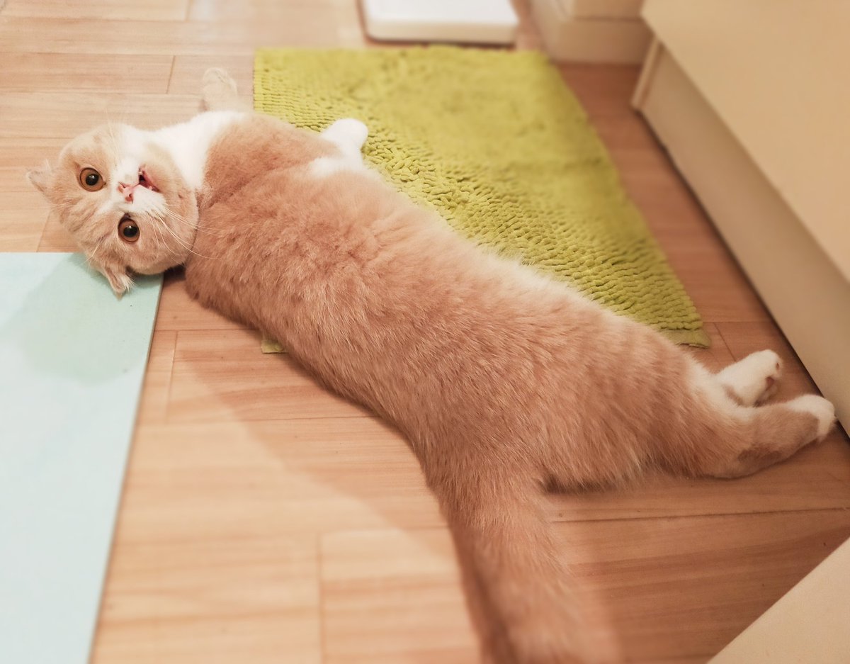 Totsuno の画像 動画一覧 Whotwi グラフィカルtwitter分析