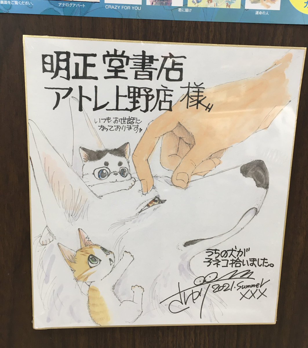 うちの犬が子ネコ拾いました