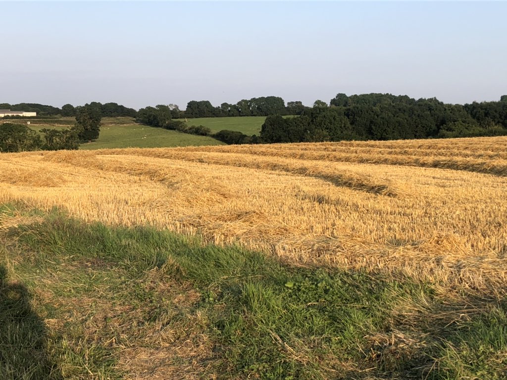 jamesgreenberry's tweet photo. #cycling in @pickwell #pickwell #somerby #leicestershirecountryside https://t.co/CTYpPQ8TvX