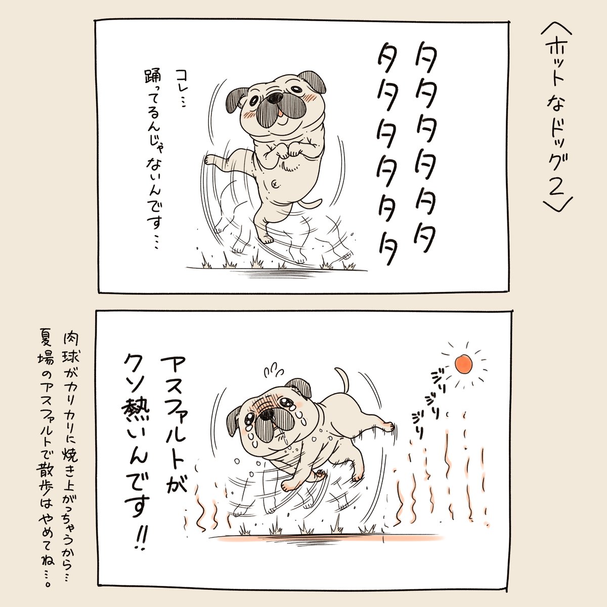 夏の時期のワンコは大変…。 