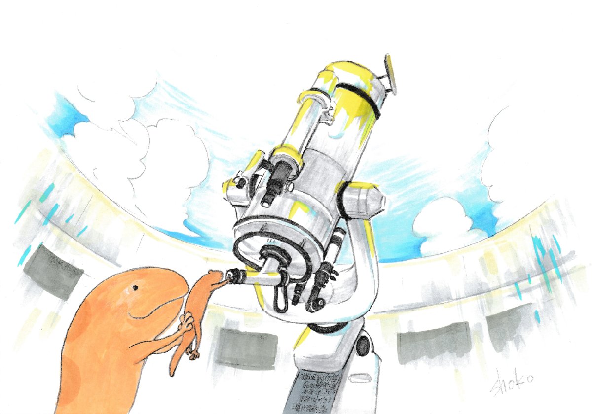 ショーコサン Shokopenworks Twitter ショーコサン Shokopenworks Twitter