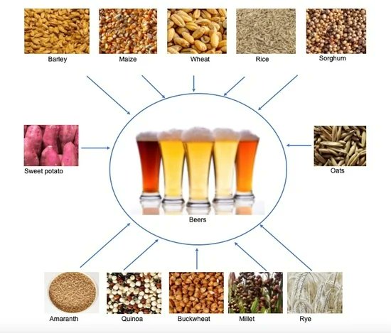 Foods_MDPI's tweet photo. 🌈#mdpifoods recommend the latest Review by our Guest Editor Prof. Dr. Carlos A Blanco et al
🍺"#Brewing with #Starchy Adjuncts: Its Influence on the Sensory and Nutritional Properties of #Beer "
Details at https://t.co/rTawop5139 https://t.co/mVSdOS58w6