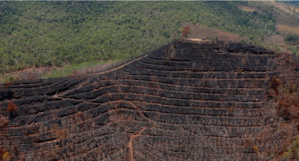 Southeast Asia forest loss has accelerated due to illegal logging and timber trafficking. Some crimes have time horizons, and at this rate there won't much habitat left here in a decade. <a href="/giobrouss/">Giovanni Broussard</a> <a href="/SamTZQ/">TAO ZHIQIANG</a> leading the <a href="/UNODC_SEAP/">UNODC Southeast Asia-Pacific</a> regional response voanews.com/east-asia-paci…