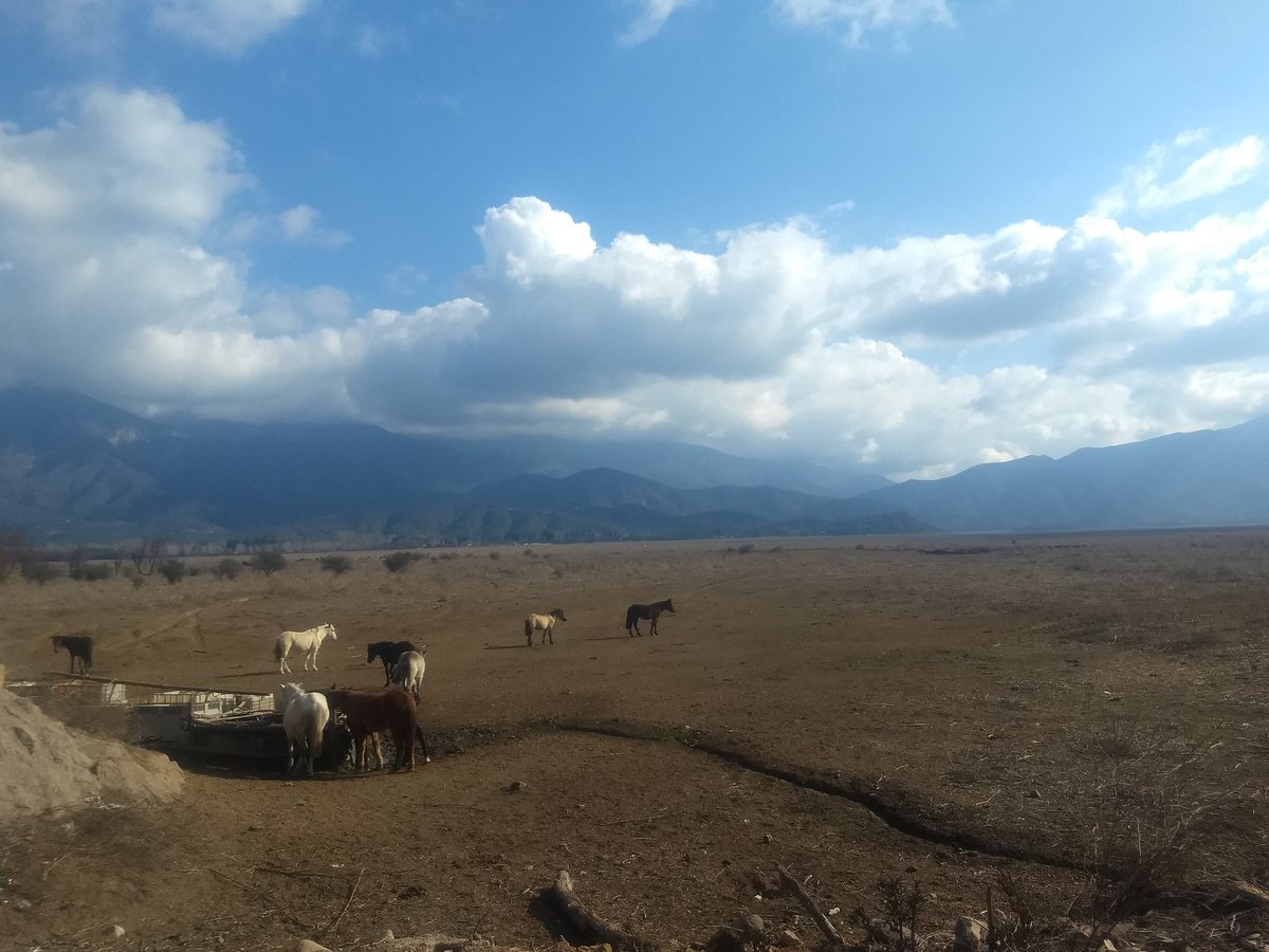 AculeoJenny's tweet photo. #Aculeo después de la lluvia
#lagunaDeAculeo
#crisiclimatica 
#ClimateEmergency 
#ClimateCrisis 
#ClimateAccion
#PhotoOfTheDay 
#CordonDeCantillana
#IslaDeMaipo
#Melipilla
#Paine
#Buin 
#NaturePhotography 
#natural 
#NoEsSequiaEsSaqueo https://t.co/RwORQnEYfU
