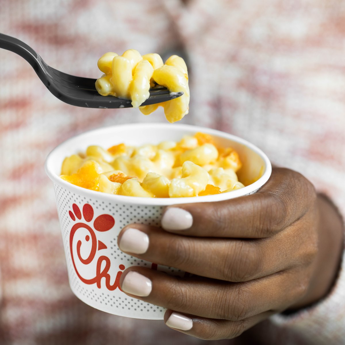 Chick-fil-A Schertz tweet media