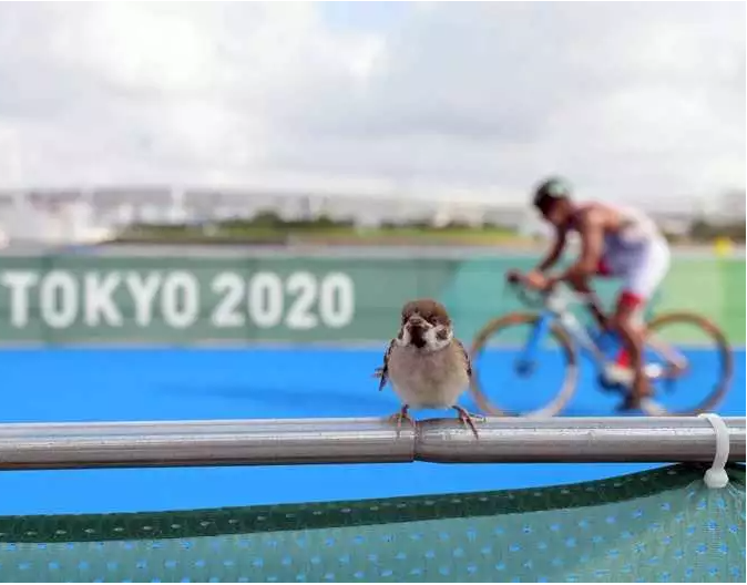 BiIndia's tweet photo. #Olympics | The best photos of the Tokyo Olympics so far

https://t.co/L8Bff8WvQ3

#Tokyo2020
#TokyoOlympics https://t.co/nk18t4hTgO