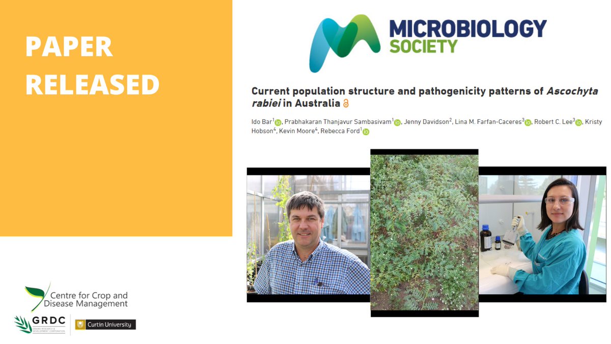 theCCDM's tweet photo. New research - Chickpea-ascochyta research demonstrating ascochyta isolates adapting to new varieties with improved resistance traits - a collaboration led by @Griffith_Uni and including @theCCDM researchers. https://t.co/VlLgh33MCd
@LinaFarfan9 @robertlee2121 @lars_kamphuis https://t.co/W4fovC0Vjh