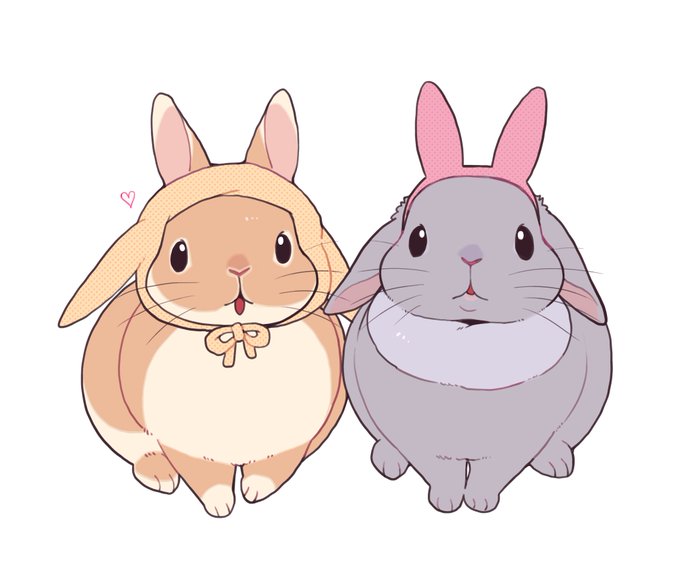 「rabbit costume」 illustration images(Popular｜RT&Fav:50)