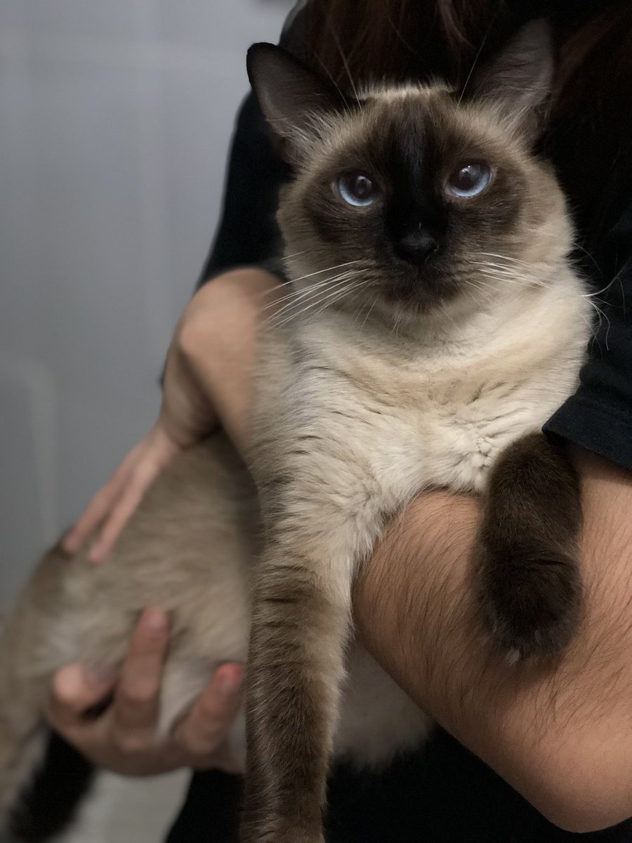 O ateu mais crente do mundo tweet media