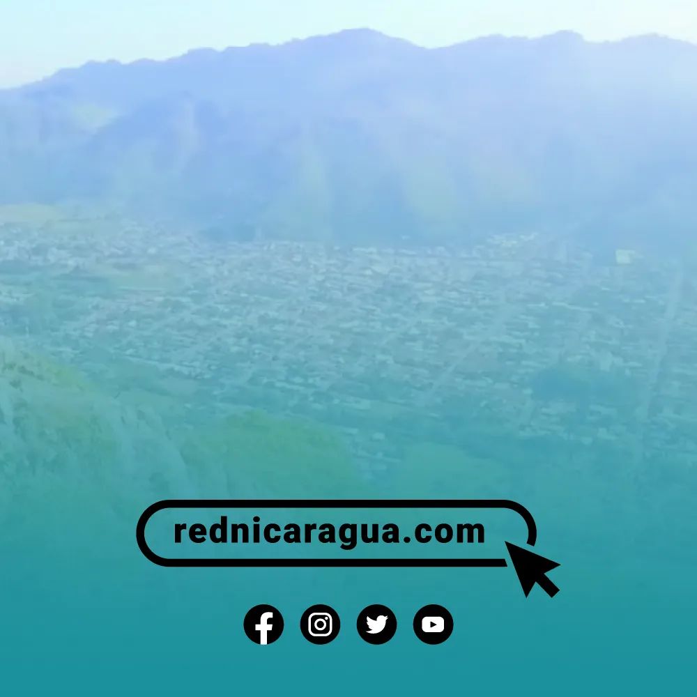 Red Empresarial de Transformación Digital tweet media