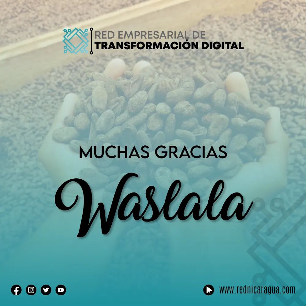 Red Empresarial de Transformación Digital tweet media