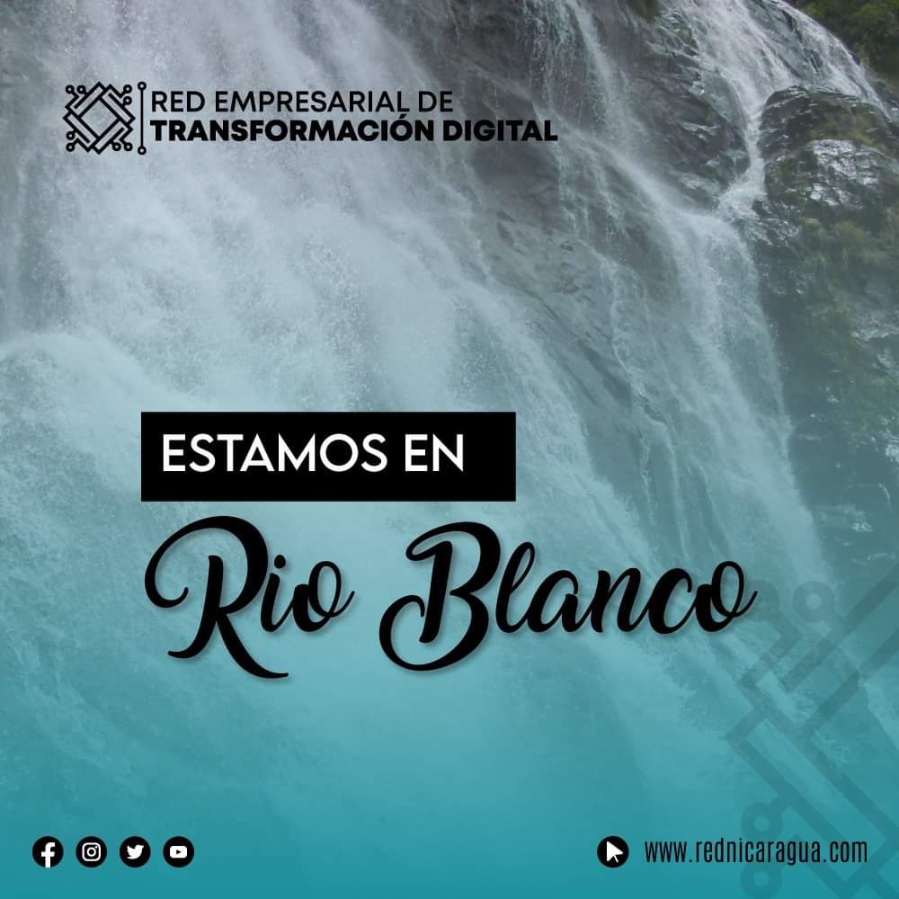 Red Empresarial de Transformación Digital tweet media