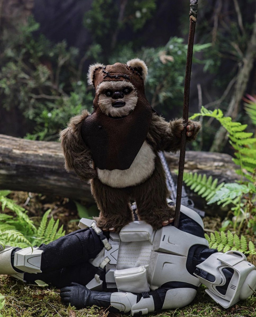 swafol's tweet photo. Wicket win!!! (📸 @visual_approach_photography) #starwars #starwarsphoto #visualapproachphotography #hottoys #hottoysphoto #returnofthejedi #wicket #ewok #scouttrooper #endormoon #battleofendor #deathstar2 #onesixthscale #swafol https://t.co/GWtjzNc44j