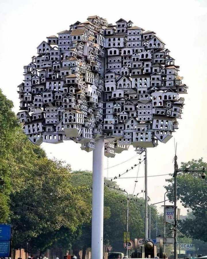 These are bird houses at an intersection in Lahore!!!            #AmazingPakistan