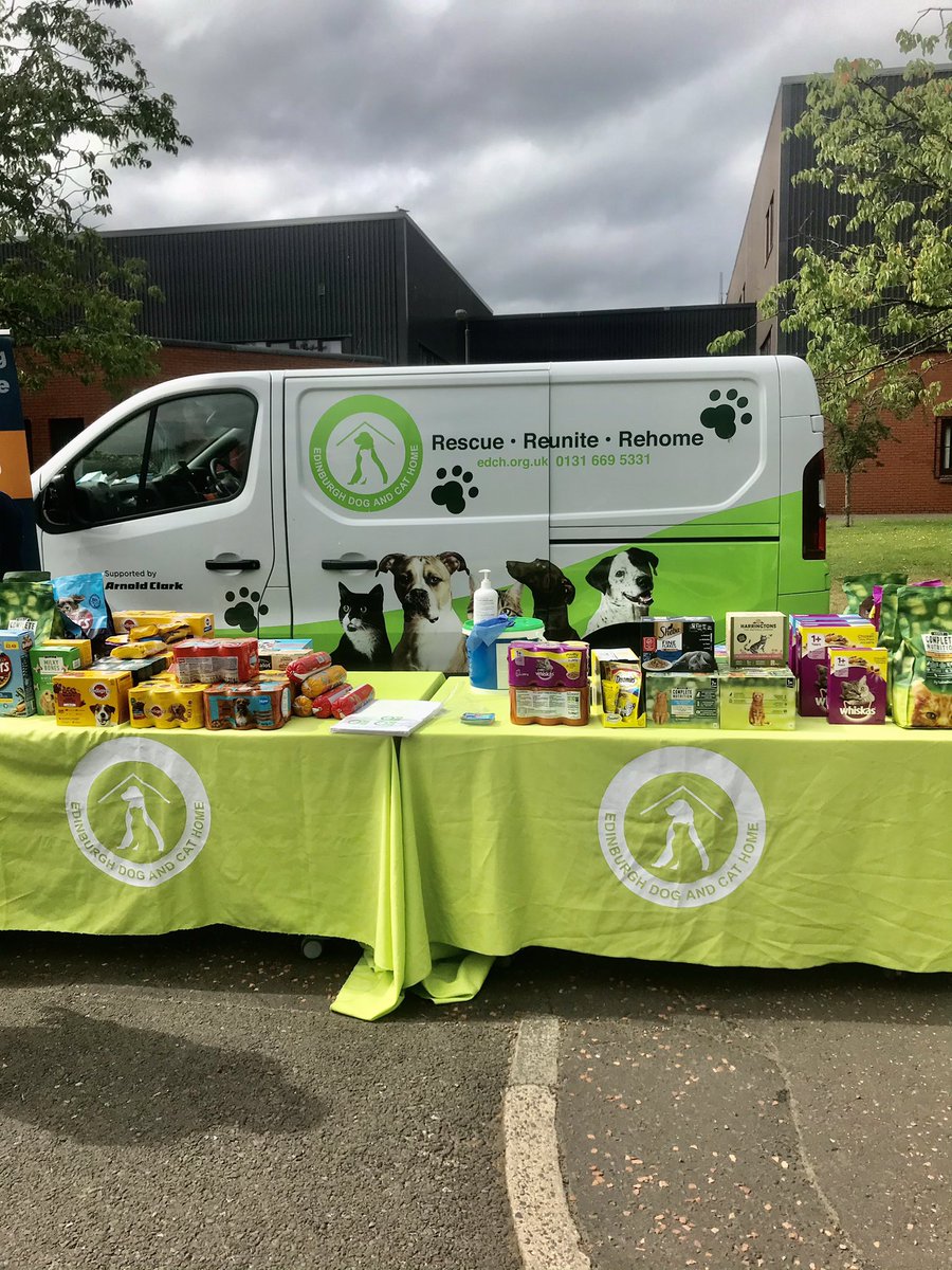 Miss Rankin tweet media