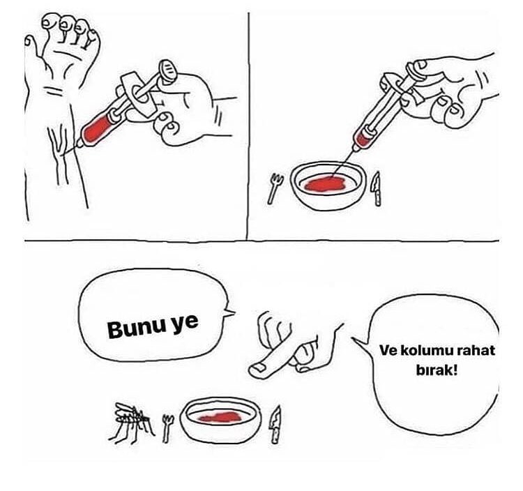 ceren (@lcerendry) on Twitter photo 