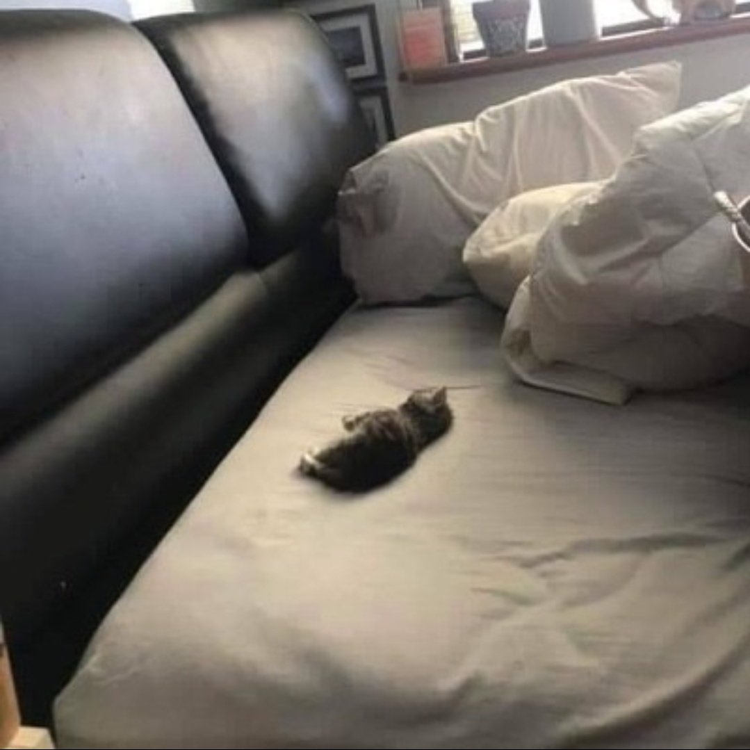 bunnvy's tweet photo. @thirough @LUNERPW ㅤ
ㅤ
sst,  aku  lagi  *pingsan*  gara - gara  user  thirough. 
⠀⠀
⠀⠀ https://t.co/QuZRXuGkYl