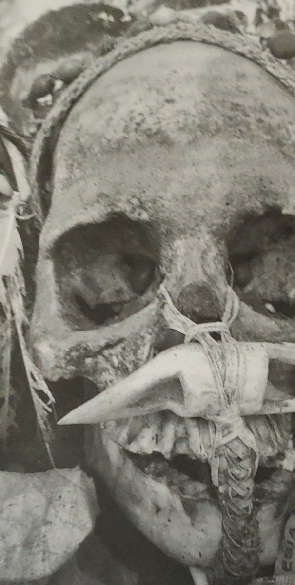 Een Asmat voorouderschedel. Bij deze zit de onderkaak er nog aan dat betekend dat deze persoon geen slachteroffer was van koppensnellers.