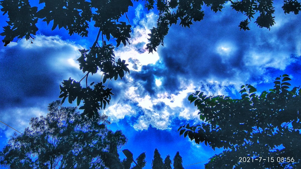 #Redminote4
 #snapseededit 
#bluesky
#cloud
@RedmiSupportIN 
@RedmiIndia 
@XiaomiIndia @Xiaomi 
@Prathik__Pai 
@IamAyan_Sarkar 
@manukumarjain