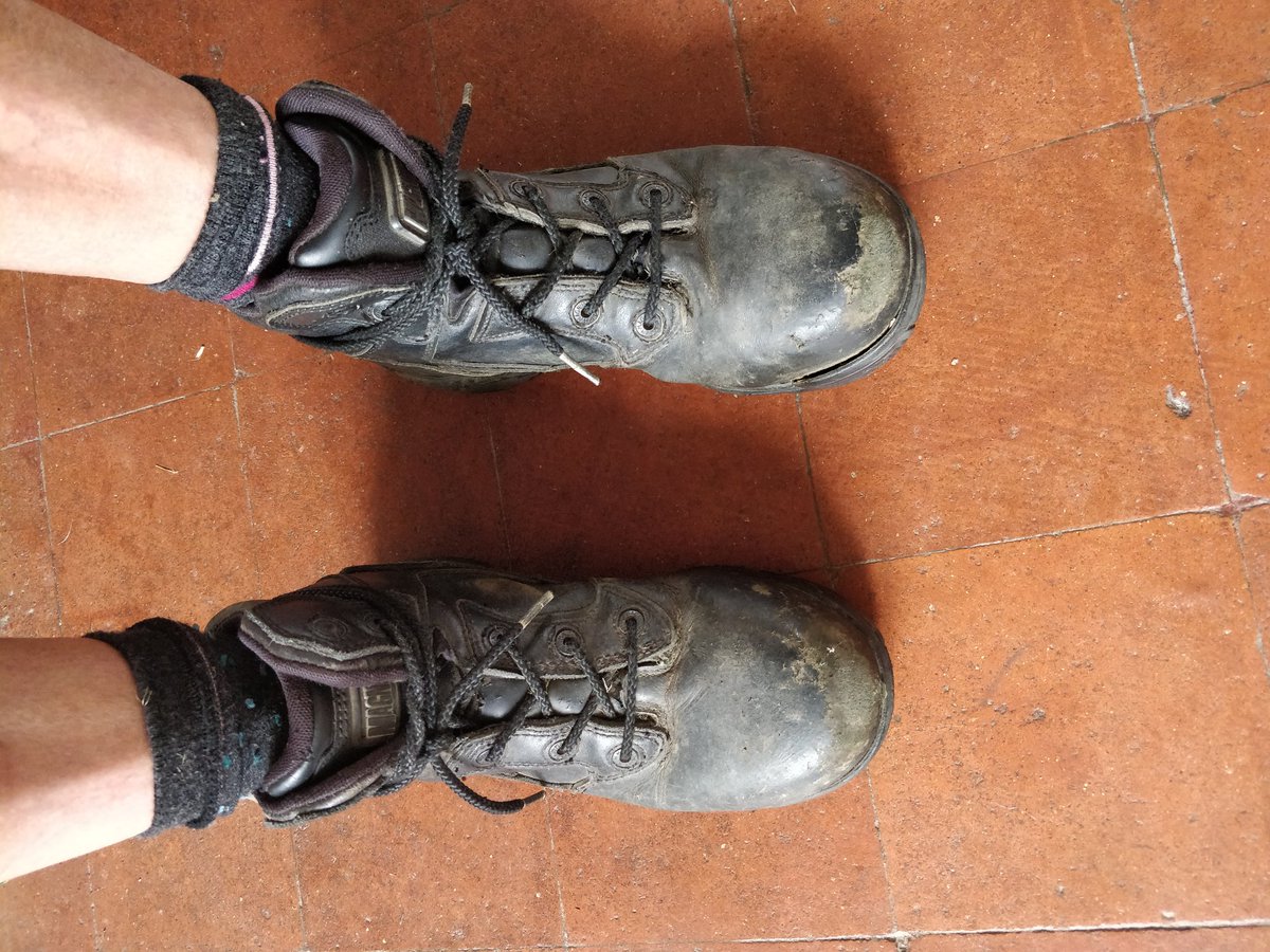 NorthernNomadNN's tweet photo. Serious garden work on the menu today. #steeltoecaps https://t.co/CkaT2P5e6g
