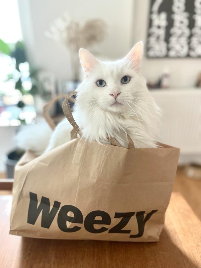 Been trying out a few of the rapid grocery delivery services these last few weeks - no doubting who Olafur prefers <a href="/weezycouk/">Weezy</a>
