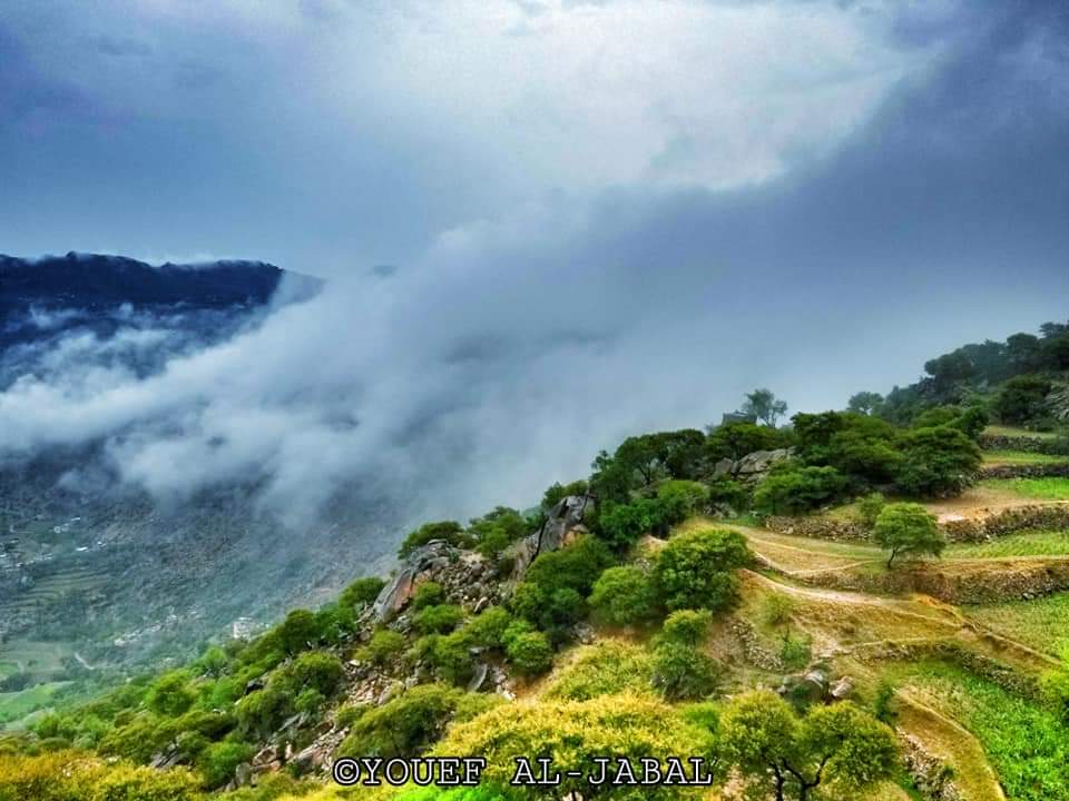 #ريمة الساحرة الذي حباها الله بطبيعه ساحرة ففيها كل مفردات الجمال الرباني من غابات ومدرجات خضراء وشلالات وطيور نادرة وبرك للسباحه في قمم الجبال وقلاع وحصون تاريخيه وجبال تعانق الغيوم الى جانب الضباب الذي يغازل جبالها وأوديتها على مدار العام 🌲💚🌳🌧🏊‍♀️

صور من مديرية السلفية 😊
⓵