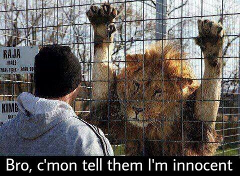 MrsFlowers007's tweet photo. Are zoos ethical 🤔🖤
#educate #endangeredspecies #breedingprogrammes #naturalhabitat https://t.co/KuJd7hM6hX