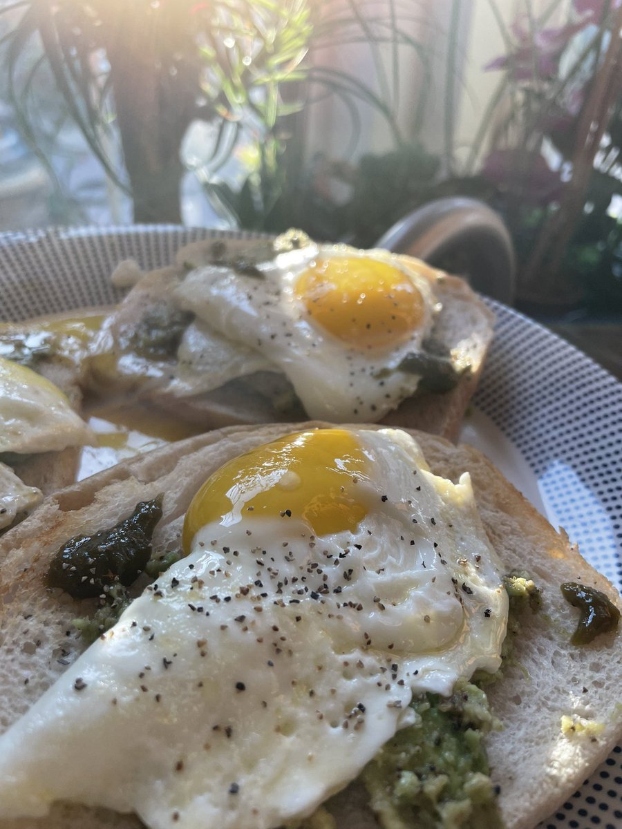 slimebiter's tweet photo. i just realized i had eggs for dinner (and an extra midnight snack) in honor of @RubberNinja finishing the #eggwalker challenge
so proud of this community ; o ; https://t.co/CUWNsAprr0
