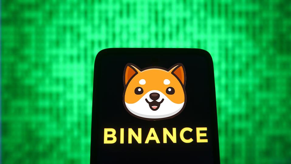 4dynastyrich's tweet photo. @binance @binance thinking about the "future" , 
I see @babydoge on your platform 🚀🚀💎

#BabyDogeCoin #BabyDoge #BabyDogeArmy https://t.co/ReQu7MyfqP