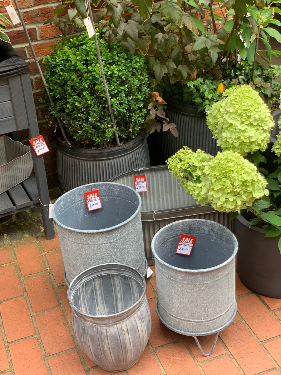 MoutanFlowers's tweet image. ** SUMMER SALE ** Shop our sale items at Moutan Farnham!  We have some wonderful items for sale just perfect for your summer garden. Furniture, pots &amp;amp; planters, gardening tools and accessories....
We're open 10am-4pm, Borelli Yard, Farnham.
#summersale #moutan #farnham