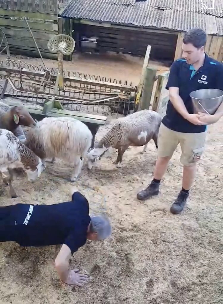 RickHar76156223's tweet photo. Day 18 https://t.co/BSCAnnlbzf
Thanks
Sean & Amelia
#Willowbank #Wildlife #Reserve #25pushupchallengenz #keytolife helping raise funds and #awareness of the #HIGH rate of #Youth suicide in #NZ Letโs make a difference make a difference.
Plz Donate here>
https://t.co/oLxxgLGghk https://t.co/CeDQN1ZAzK