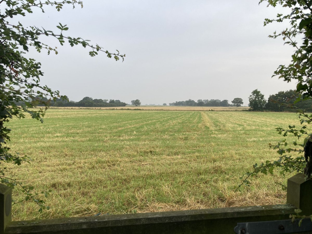 Peter Cook tweet media