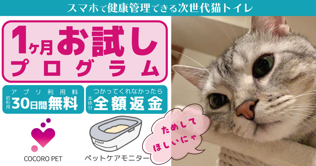 تويتر Sharp シャープ株式会社 على تويتر トイレから体重や尿量 回数などを自動で計測し ネコの体調管理を行うペットケア モニターにて1ヶ月お試しプログラムをはじめました 買ったはいいものの新しいトイレをネコが使ってくれない場合 全額返金します T تويتر Sharp シャープ株式会社 على تويتر トイレから体重や尿量 回数などを自動で計測し ネコの体調管理を行うペットケア モニターにて1ヶ月お試しプログラムをはじめました 買ったはいいものの新しいトイレをネコが使ってくれない場合 全額返金します T