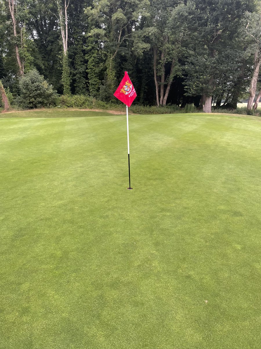 belvoirbigsmall's tweet photo. Good luck to all players @BelvoirParkGolf in the Ulster seniors. The course is fast and firm 👍 @McGivernGolf @GolfIreland_ @BIGGALtd @SwanGolfDesigns https://t.co/oK5VtMiOWN