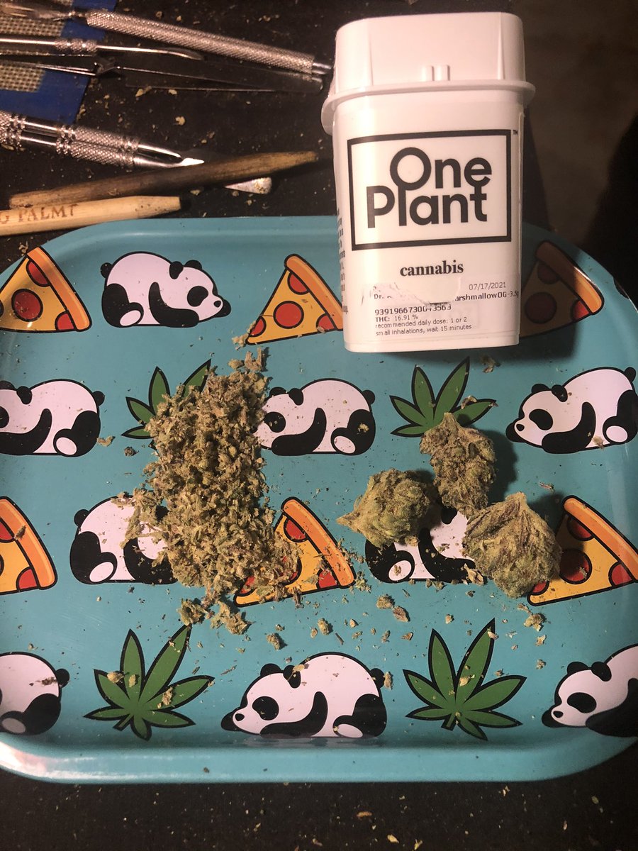 Tokingtim420 tweet media