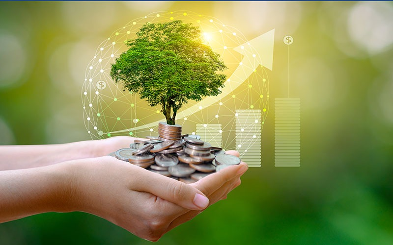 RAY_EUScapp's tweet photo. Protect your lose with our Insurance Investment Project.
#RAY_E_Securities
#RAY_ESecurities
#RAYESecurities https://t.co/FLwXwrS9xO
