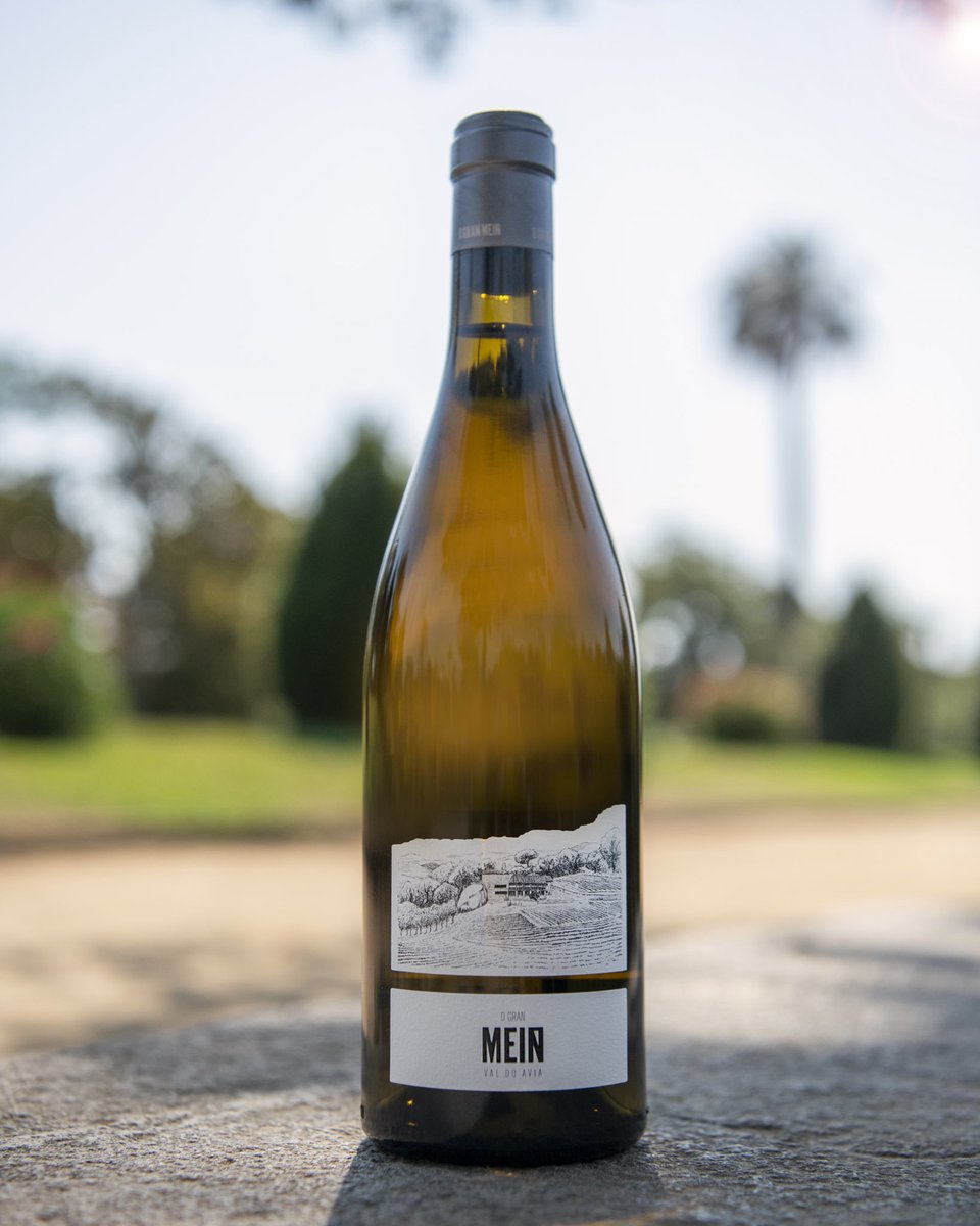 O Gran Meín Castes Brancas 2019 es el nuevo gran blanco de Ribeiro de Viña Meín. Elaborado con treixadura, torrontés, albariño, godello, loureira, caíño blanco y lado. Un blanco de precisión que dará placer a partir del segundo año en botella. #vinodeldía bit.ly/36pTWJS