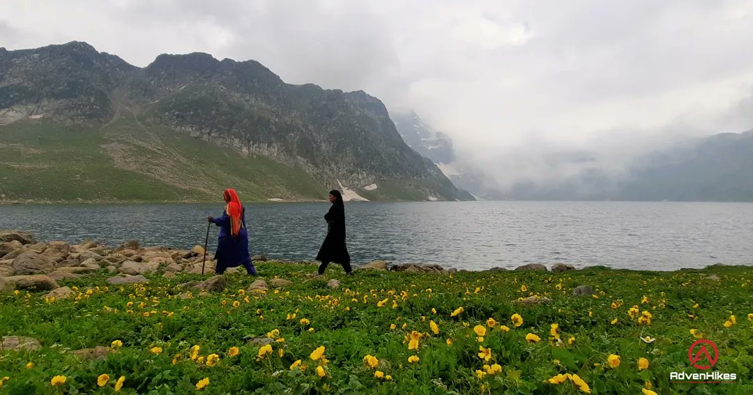 advenhikes's tweet photo. Tar Sar, Kashmir ⛰⛺

Dare to live the life with @advenhikes

Follow/share @advenhikes
#travelkashmir #trekking #mountainslovers  #travellersofkashmir #advenhikes #kashmirtourism #nomadlifestyle #peaceofmind #travelphotography #hike #camping #life #fishing #nature #landscape https://t.co/HwCfnu9oxy
