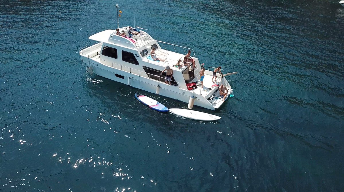 @aton.sd tweet media