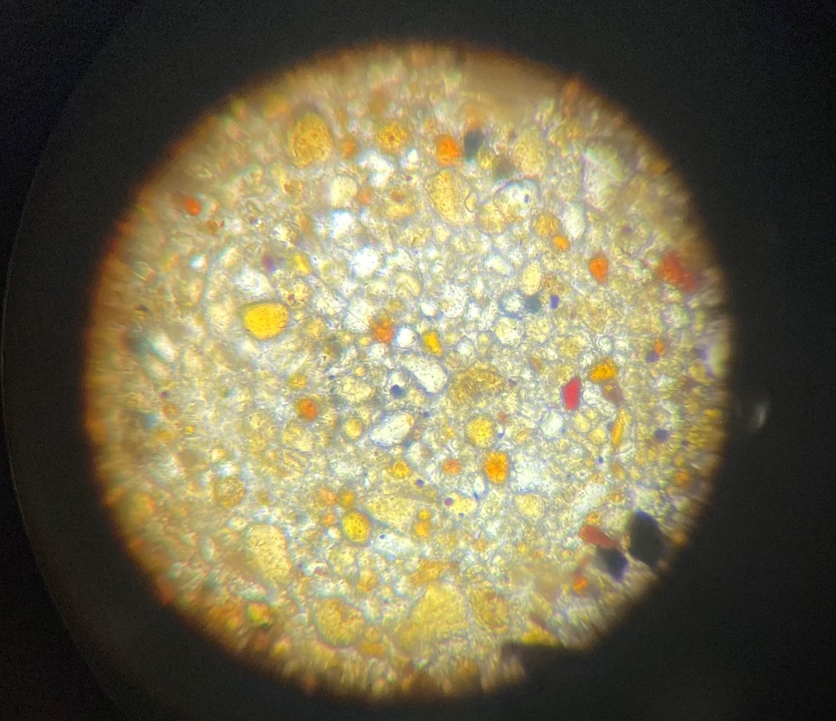 Yesterday soil experts, <a href="/EarthWhileAus/">EarthWhile Australia Pty Ltd</a> and some local landholders joined us to study soils under the microscope! 🪴🔬🦠

Participants brought in samples from their properties and learned how to identify what exactly their #soil is made of! 

Thanks to all who attended!