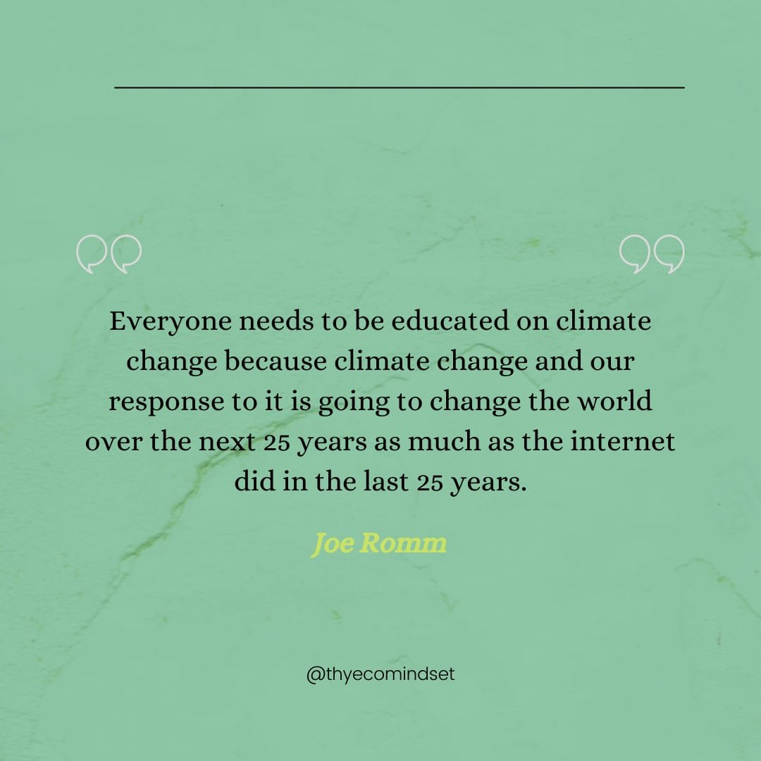 Siham Drissi tweet media