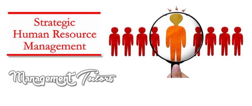 managementhelps's tweet image. If you need human resources management assignment help online? Contact Management Tutors! Here you can get human resource management assignment help from Australian subject matter experts.
Order Online: managementtutors.com/human-resource…
#HRManagementAssignmentHelp #HRAssignmentHelp