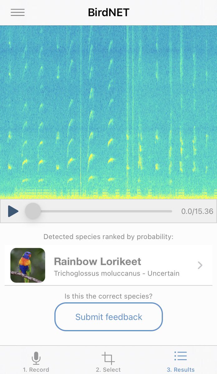 rahulcs's tweet photo. @philipvollet @kahst Thanks! So cool! It’s like Shazam for birds! https://t.co/OD1jkktIJD