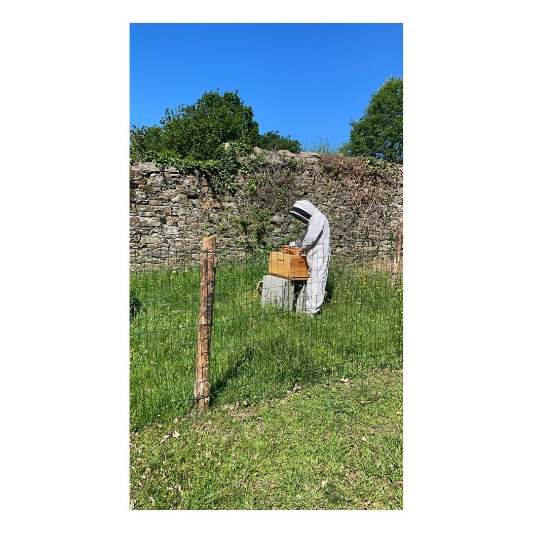 Goodman réalise la Web TV de Baud. Découvrez-y toutes les informations pratiques, culturelles, événementielles, environnementales. Voici quelques photos d’un agréable tournage dans l’écopaturage de la ville.
#webtv #publicité #mairie #baud #tourisme #apiculteur #environnement