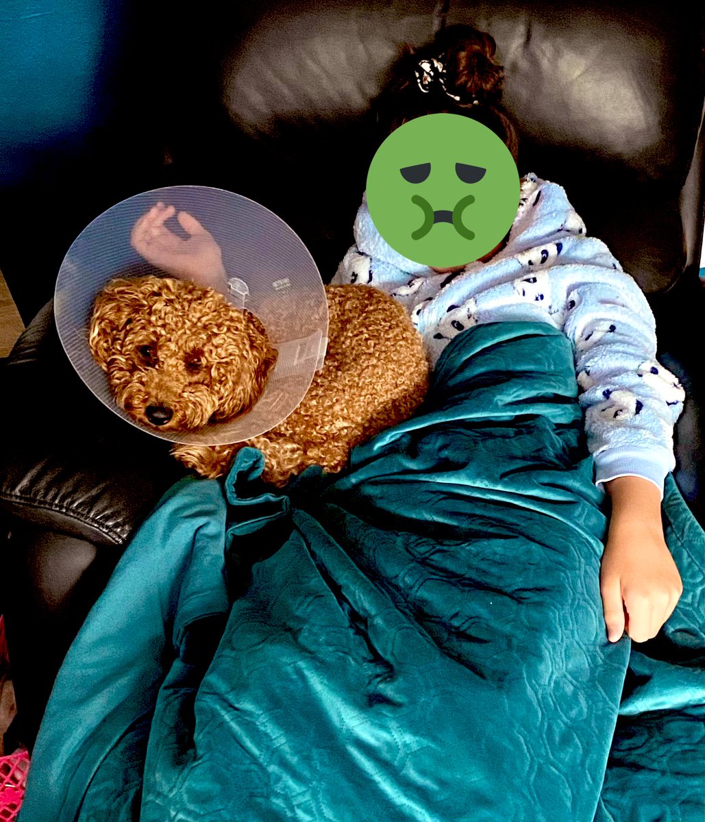 Holyrudegirl's tweet photo. My sick babies snuggling 👧🐶💕 #ChillOutTuesday https://t.co/C8mzgTqKj9