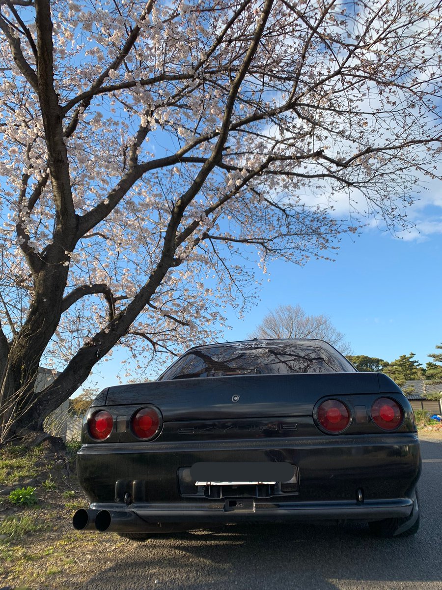 ABC_JDA_07's tweet photo. リアの写真があんまり無いだと..？！
でもよーくみたら���ドモアゼルなあなた達って書いてあるのわかる！！
よし！
リアガラスだよ！！ https://t.co/NOarJdN9Yx