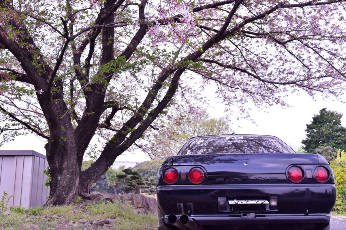 ABC_JDA_07's tweet photo. リアの写真があんまり無いだと..？！
でもよーくみたら���ドモアゼルなあなた達って書いてあるのわかる！！
よし！
リアガラスだよ！！ https://t.co/NOarJdN9Yx